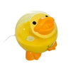Pato