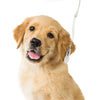 Oximetro de Pulso Veterinario CMS60D-VET